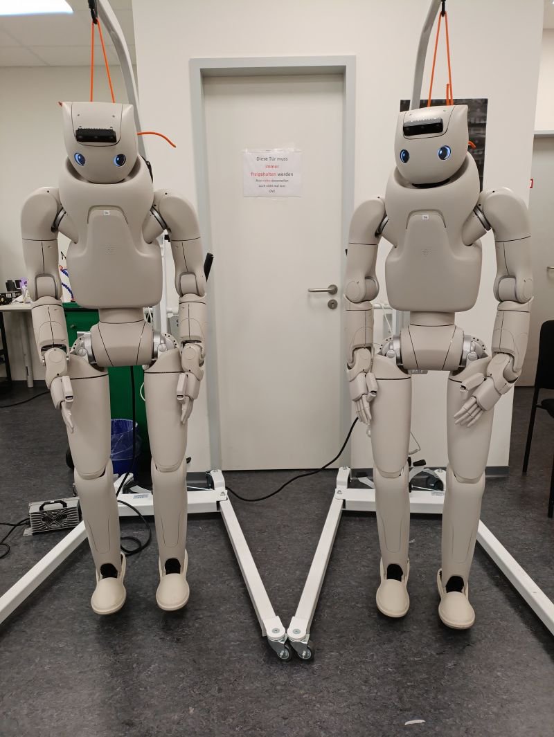 Grag and Otho on their gantry frames in the lab.